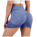 Shorts Feminino de Academia em Malha Premium
